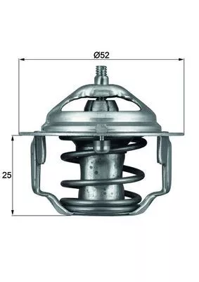 Thermostat, coolant