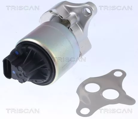 TRISCAN EGR Valve (881321001)