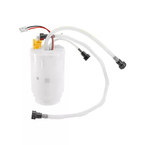 DELPHI Fuel Pump (FE0719-12B1)