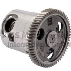 PIERBURG Oil Pump (7.07919.21.0)