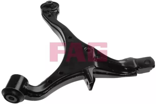 Schaeffler FAG Control/Trailing Arm, wheel suspension (821075510)