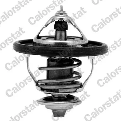 CALORSTAT by Vernet Thermostat, coolant (7354.88J)