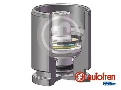 AUTOFREN SEINSA Piston, brake caliper (D02593K)