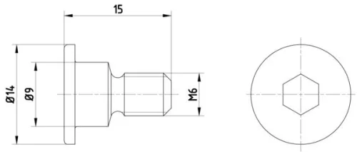 TEXTAR Bolt, brake disc (TPM0001)