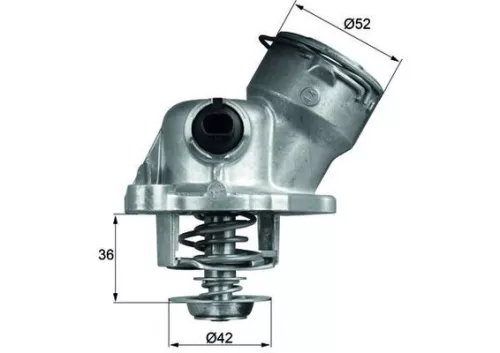 Thermostat, coolant