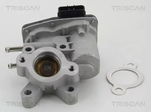 TRISCAN EGR Valve (881314100)