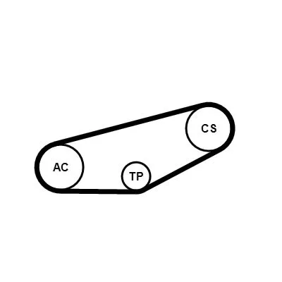 CONTINENTAL CTAM V-ribbed Belt Set (4PK855K1)