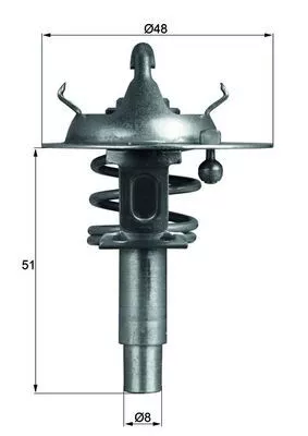 MAHLE Thermostat, coolant (TX10690D)