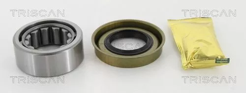 TRISCAN Wheel Bearing Kit (853016268)