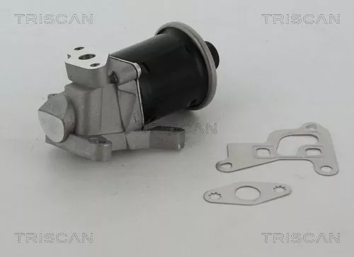 TRISCAN EGR Valve (881329100)