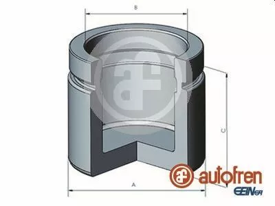 AUTOFREN SEINSA Piston, brake caliper (D025612)