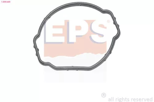EPS Gasket, thermostat housing (1-890-689)