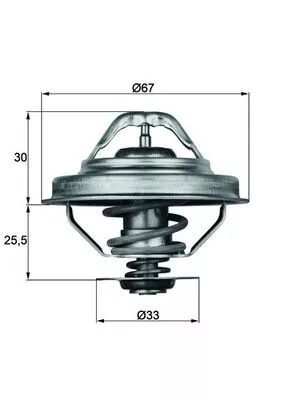 Thermostat, coolant