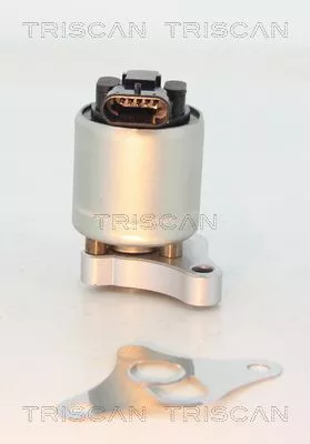 TRISCAN EGR Valve (881324002)