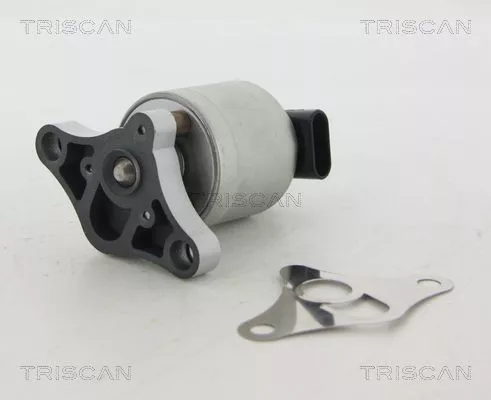 TRISCAN EGR Valve (881324002)
