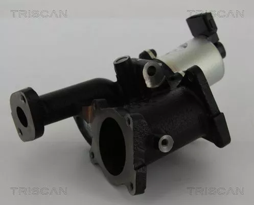 TRISCAN EGR Valve (881324101)