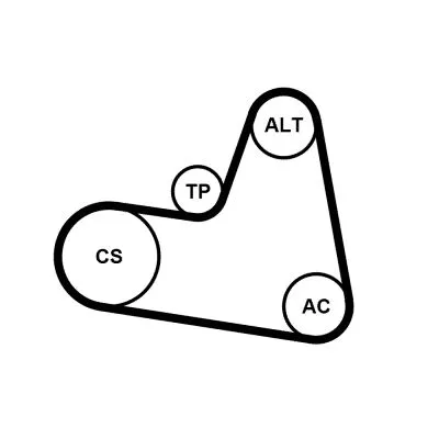 CONTINENTAL CTAM V-ribbed Belt Set (6PK962K1)