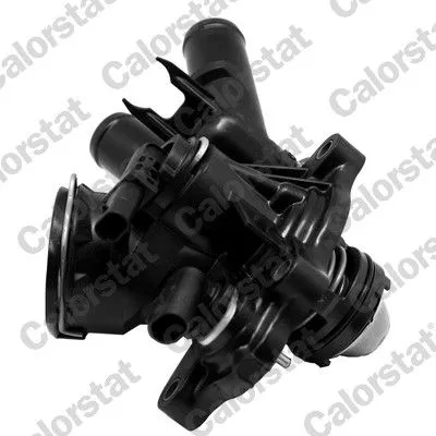 CALORSTAT by Vernet Thermostat, coolant (7363.103J)