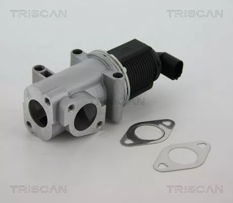 TRISCAN EGR Valve (881310015)