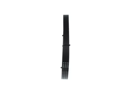 BOSCH V-Ribbed Belt (1987946254)