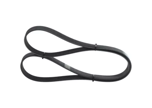BOSCH V-Ribbed Belt (1987946254)