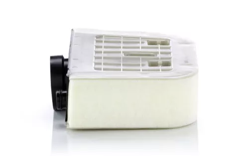 MANN-FILTER Air Filter (C38011)
