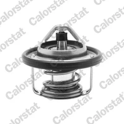 CALORSTAT by Vernet Thermostat, coolant (6737.88J)