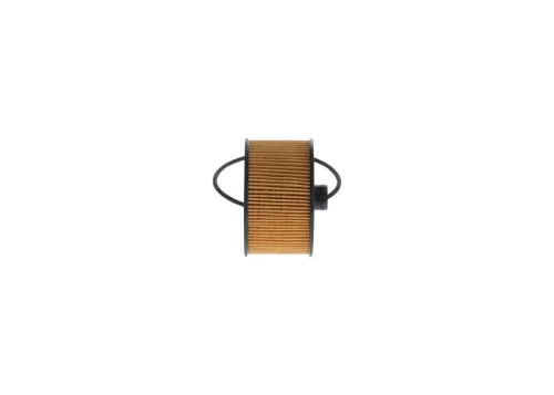 BOSCH Oil Filter (F026407231)