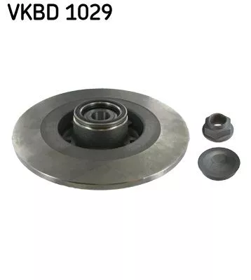 SKF Brake Disc (VKBD1029)