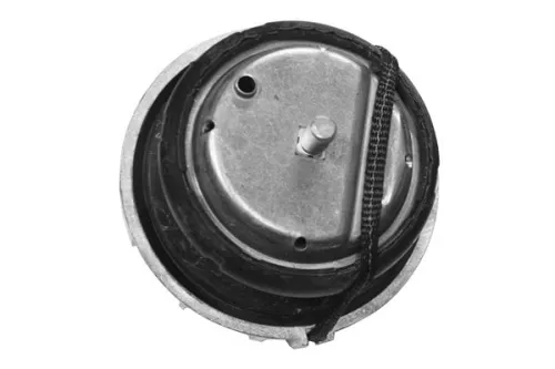 TEDGUM Mounting, engine (TED46098)