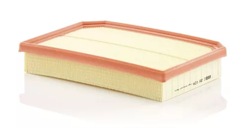 MANN-FILTER Air Filter (C28034)