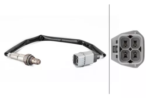 Oxygen Sensor