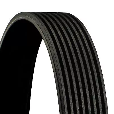CONTINENTAL CTAM V-Ribbed Belt (8PK2215)