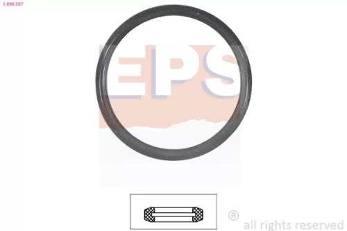EPS Seal, thermostat (1-890-567)