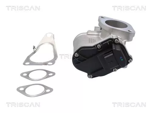 TRISCAN EGR Valve (881325201)