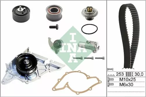 Schaeffler INA Tensioner, timing chain (551009710)
