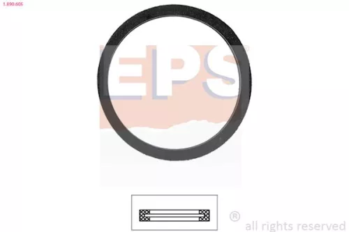 EPS Seal, thermostat (1-890-605)