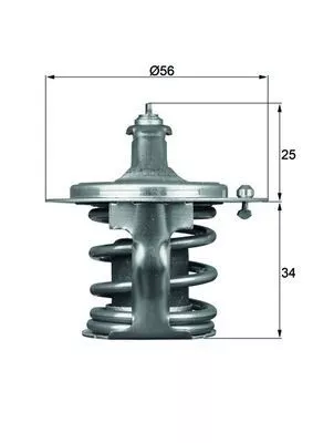 MAHLE Thermostat, coolant (TX7978D)
