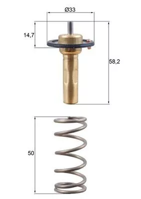 MAHLE Thermostat, coolant (TX26589D)