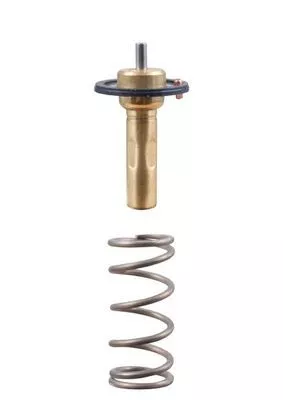 MAHLE Thermostat, coolant (TX26589D)