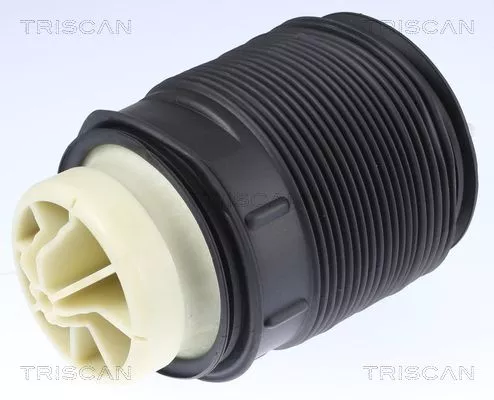 Air Spring, suspension