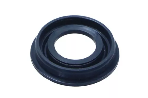Seal, injector holder