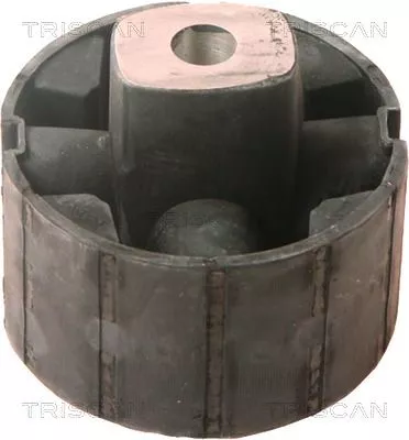 TRISCAN Mounting, control/trailing arm (850027827)