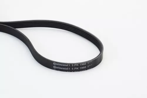 CONTINENTAL CTAM V-Ribbed Belt (5PK1960)