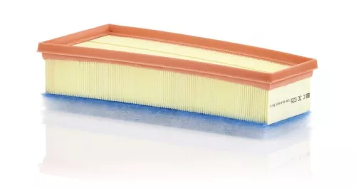 MANN-FILTER Air Filter (C30025)