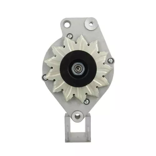 BV PSH Alternator (305.023.065.010)