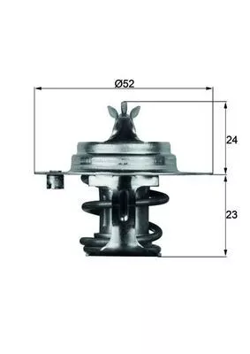 Thermostat, coolant