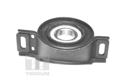 TEDGUM Camber Correction Screw (TED45560)