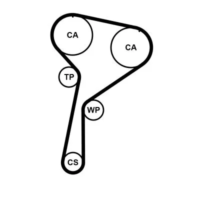 CONTINENTAL CTAM Timing Belt Kit (CT1244K2)