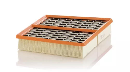 MANN-FILTER Air Filter (C34017)
